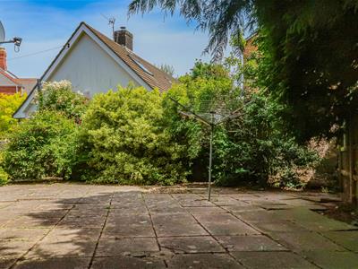 Picture 15